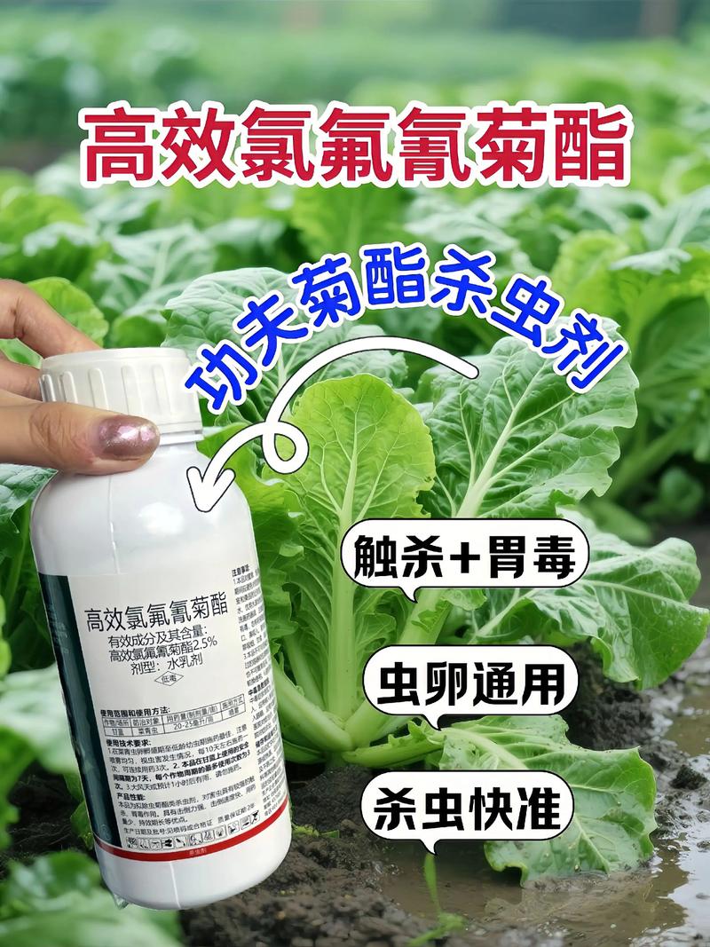 钦州代生中心:农药对供卵代生妈妈的危害